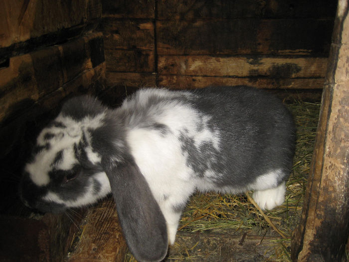 Picture 102