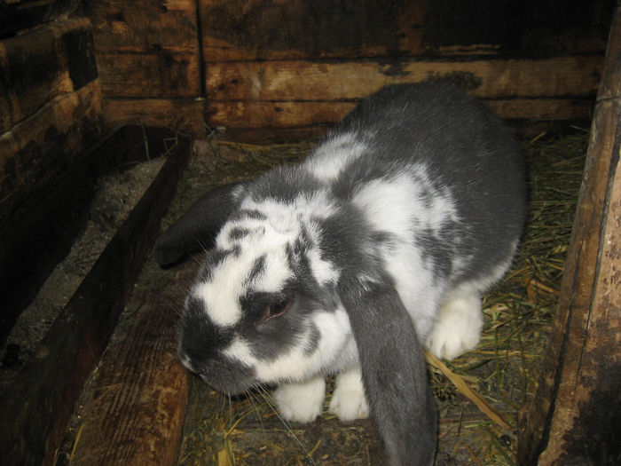 Picture 103