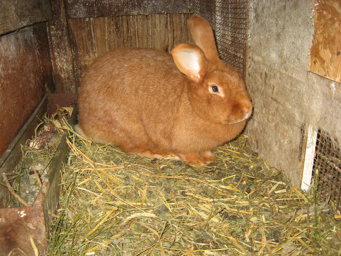Picture 115