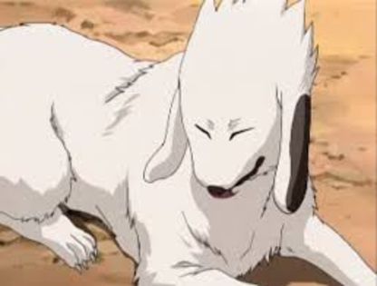 desc%u0103rcare (46) - Akamaru