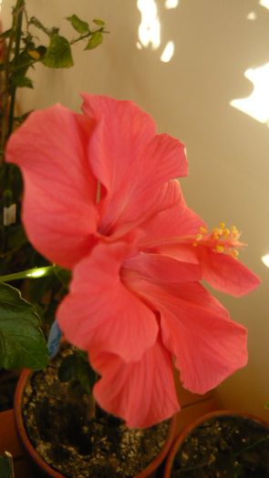 Picture 3716