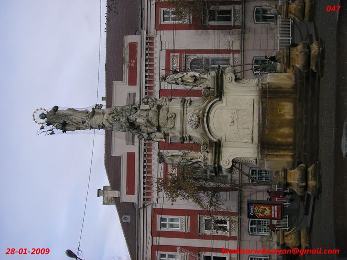 047 28-01-09 - 202 TIMISOARA 2008-2009