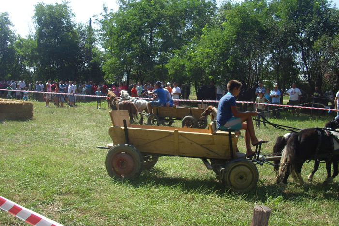 Picture 828 - Expozitia de cai 17-08-2013