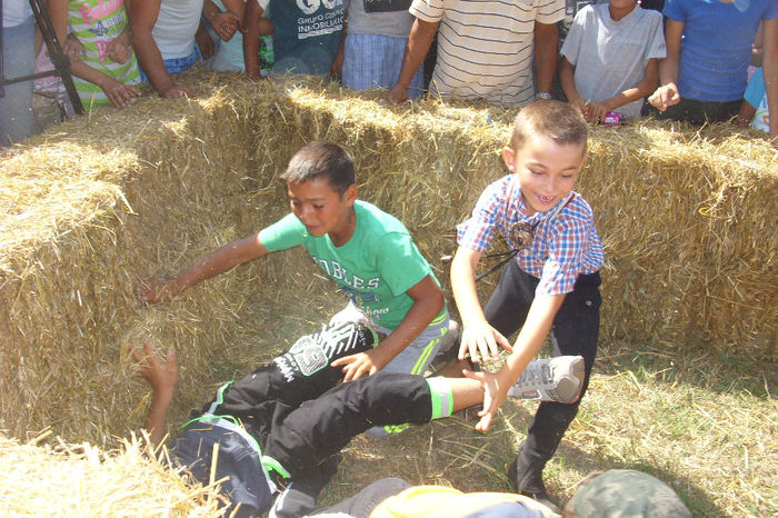 Picture 844 - Expozitia de cai 17-08-2013