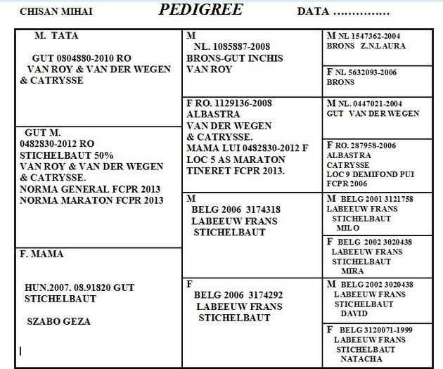 830-12 PEDIGREE - REZULTATE 2013