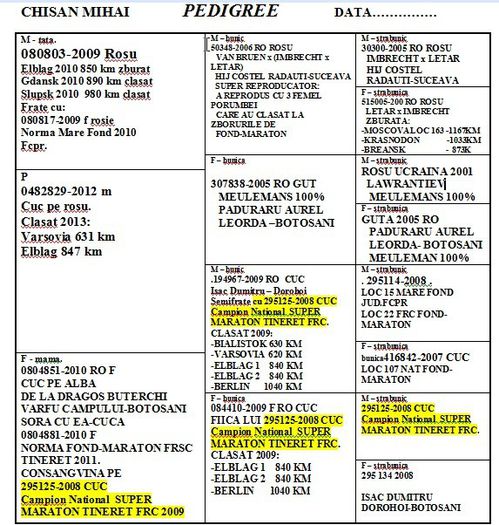 0482829-2012.pedigree - REZULTATE 2013