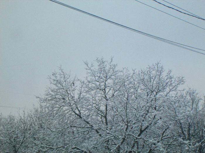 IMG_1061 - A venit iarna pentru doua zile