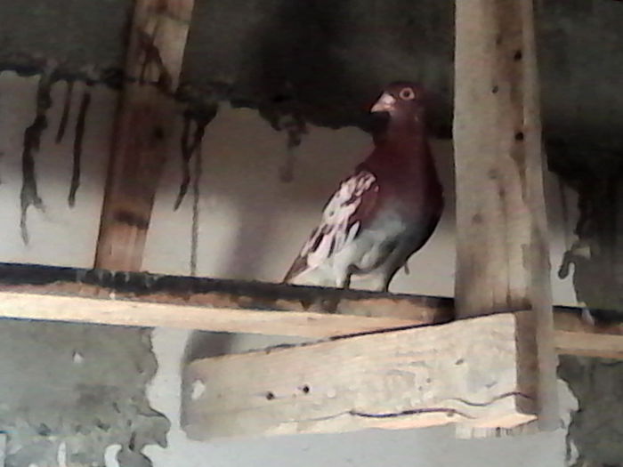 IMG_20131128_130238