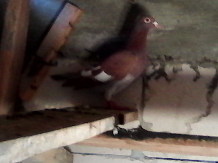 IMG_20131128_130319
