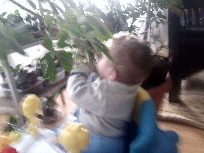 Fotografie9441 - un bebe mic -2013