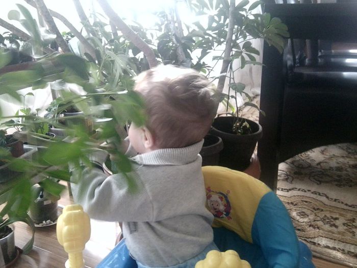 Fotografie9443 - un bebe mic -2013