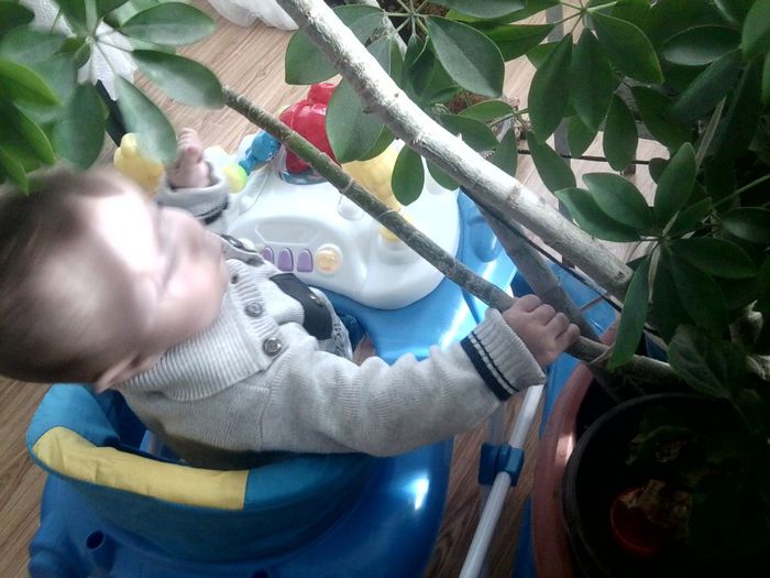 si multe alte flori - un bebe mic -2013