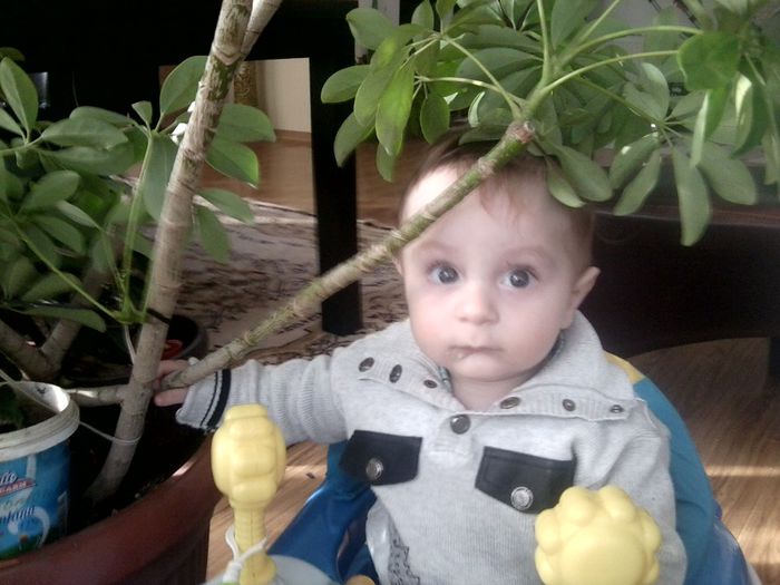 Fotografie9447 - un bebe mic -2013