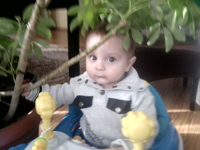 Fotografie9448 - un bebe mic -2013