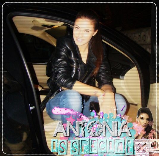 ;† day - - 113 - 19 noiembrie .