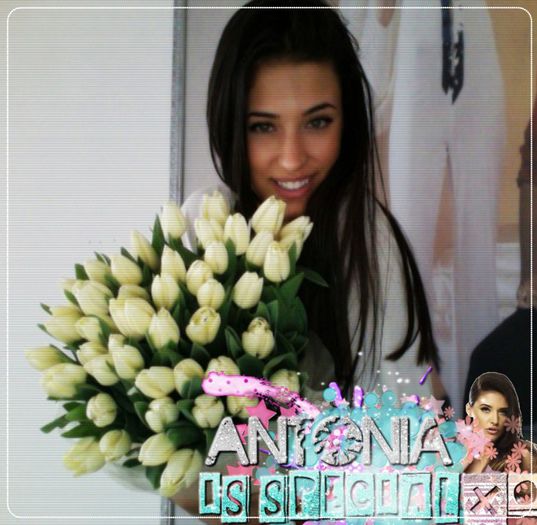 ;† day - - 118 - 24 noiembrie .