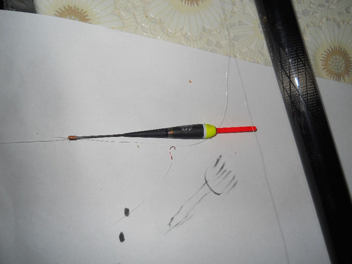 pescuit 29.11.2013 011; PLUTA SI CARLIG (cam indoit pe finalul partidei)
