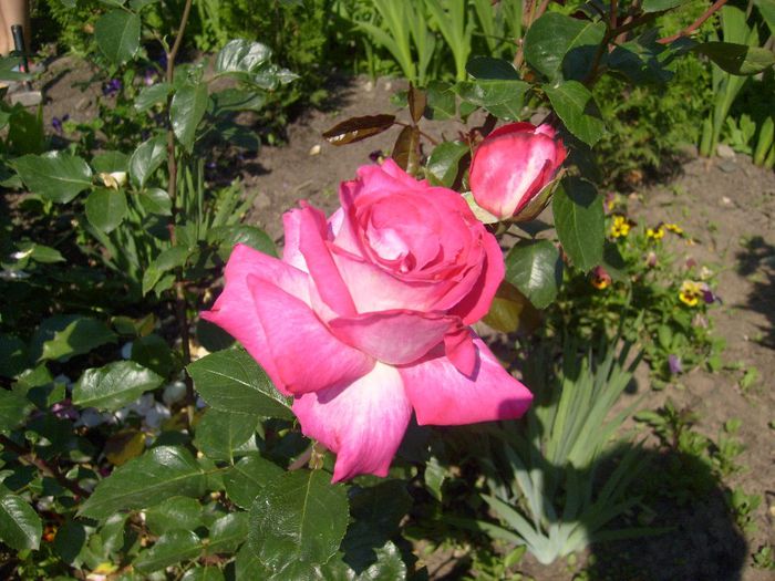 046