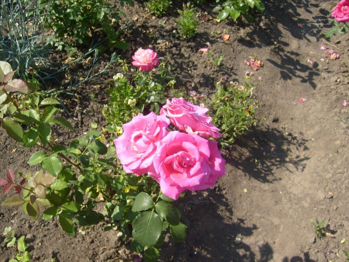 051