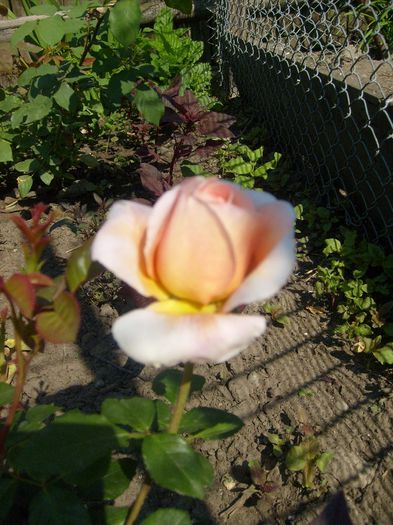 052