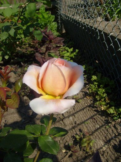 053