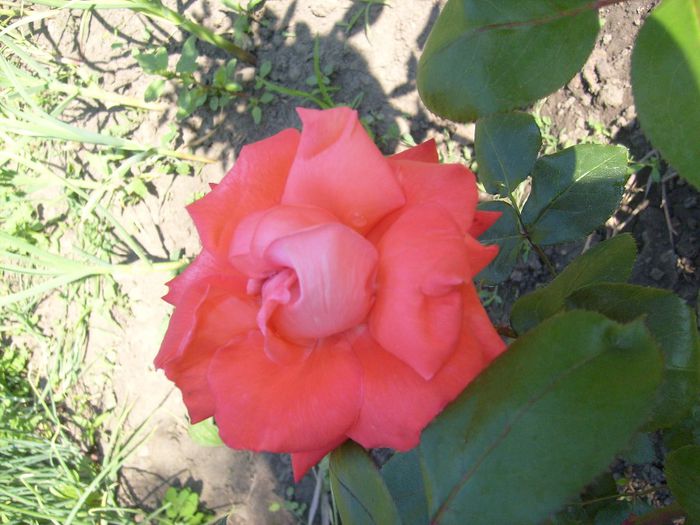 061