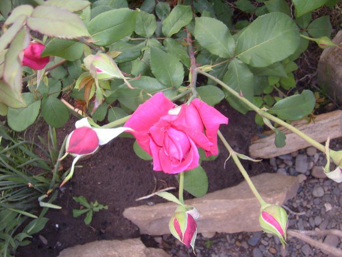 084