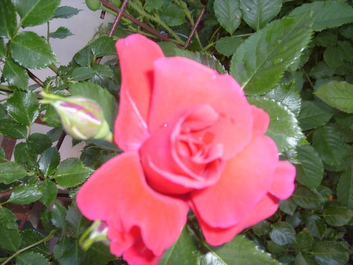 087
