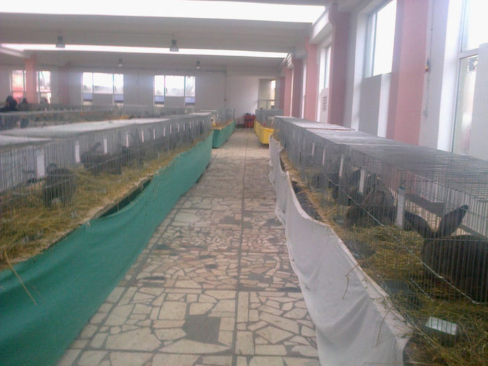 Expo Sannicolau 010