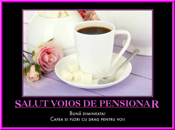 cafea; Buna ziua si bine v-am gasit dragi prieteni.Va invit la o cafea pe forumul nostru www.svdp.forumactual.com precum si pe pagina noastra de facebook www.facebook.com/paginasalutvoiosdepensionar .
