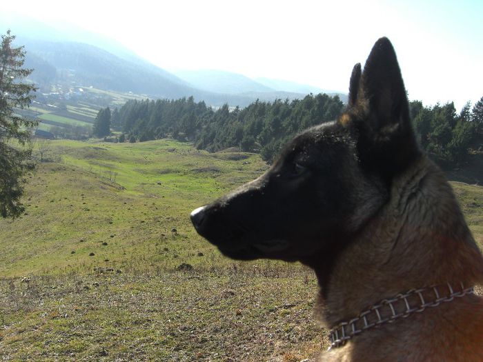 ringo28.11.2013 (143)