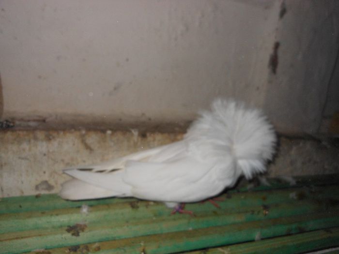 DSCN1297