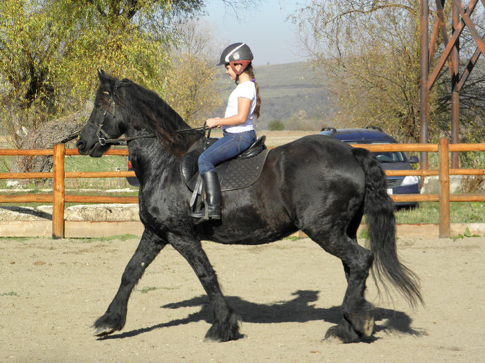 PA261102 - VANZARI CAI 2