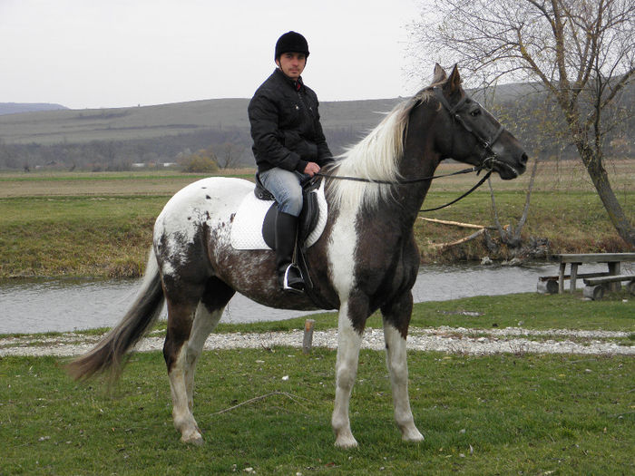 BONITA IAPA APPALOOSA