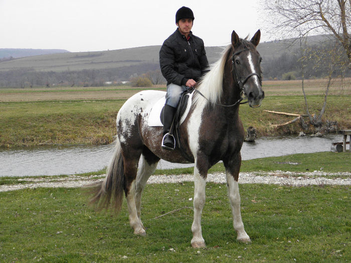 BONITA IAPA APPALOOSA