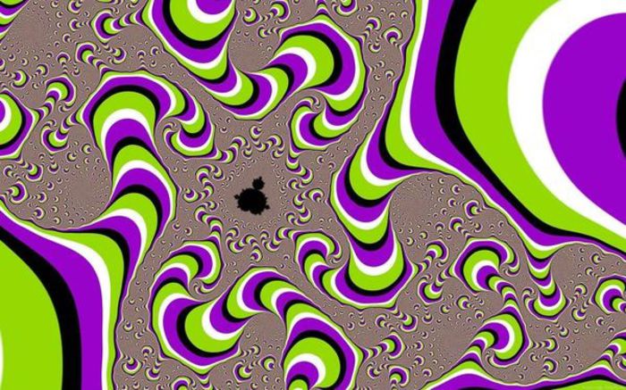 best-optical-illusion