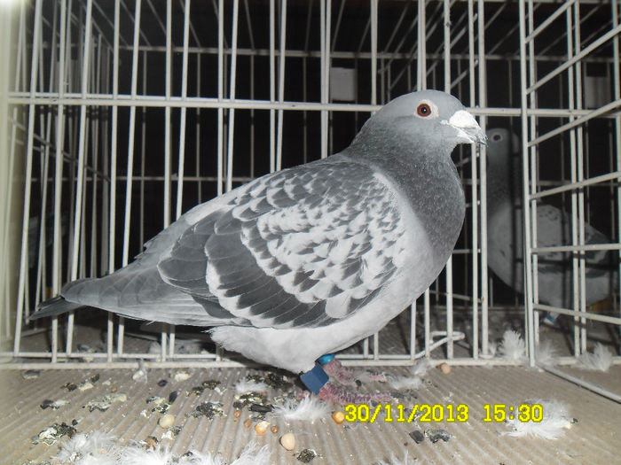SAM_0751