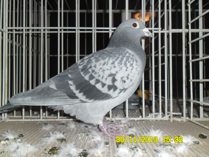 SAM_0758