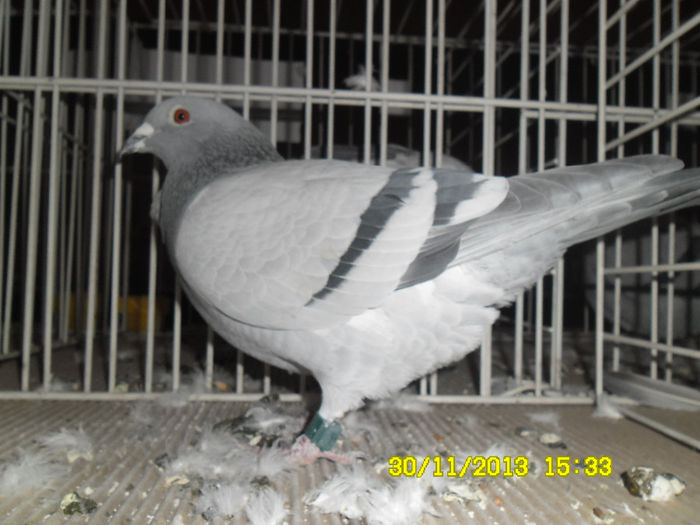 SAM_0761