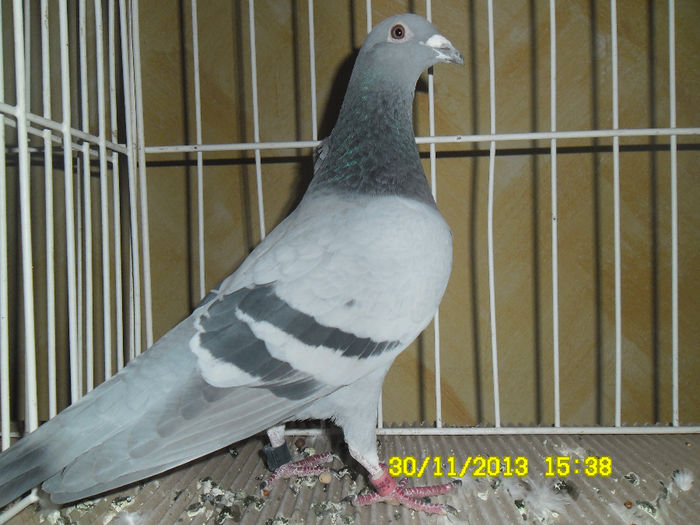 SAM_0783
