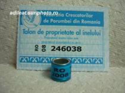 RO 2008 - inele