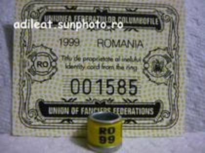 RO 99 - inele