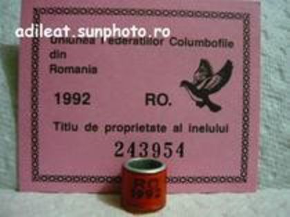 RO 1992 - inele