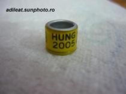 Hung 2005