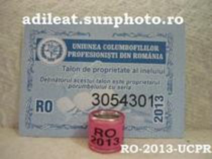 RO 2013 - inele