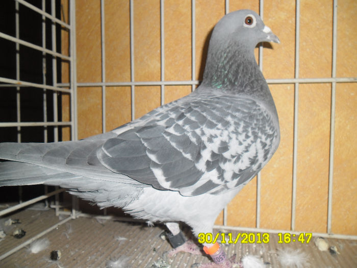 SAM_0801