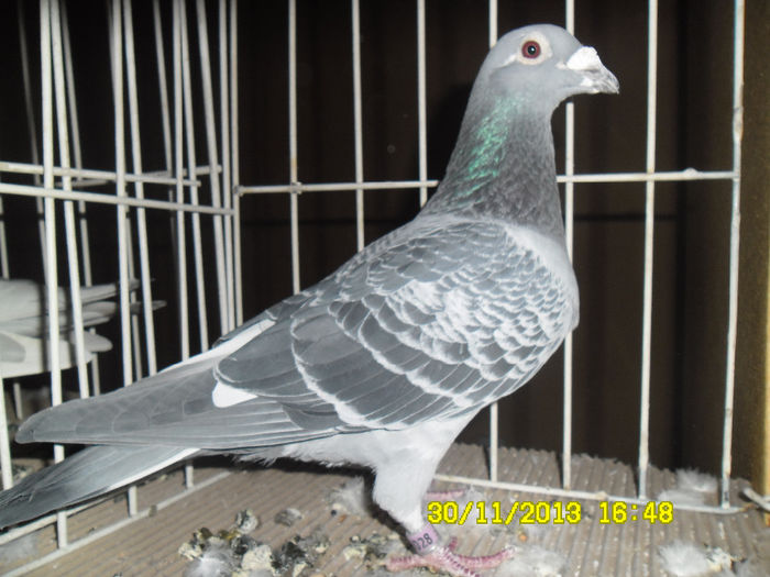 SAM_0802