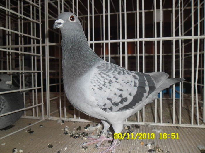 SAM_0804