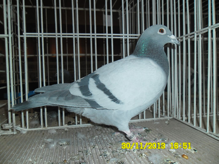 SAM_0805