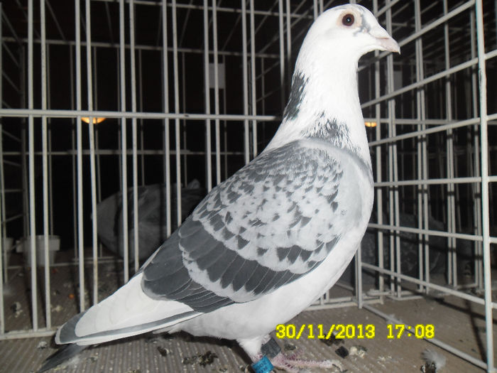 SAM_0806